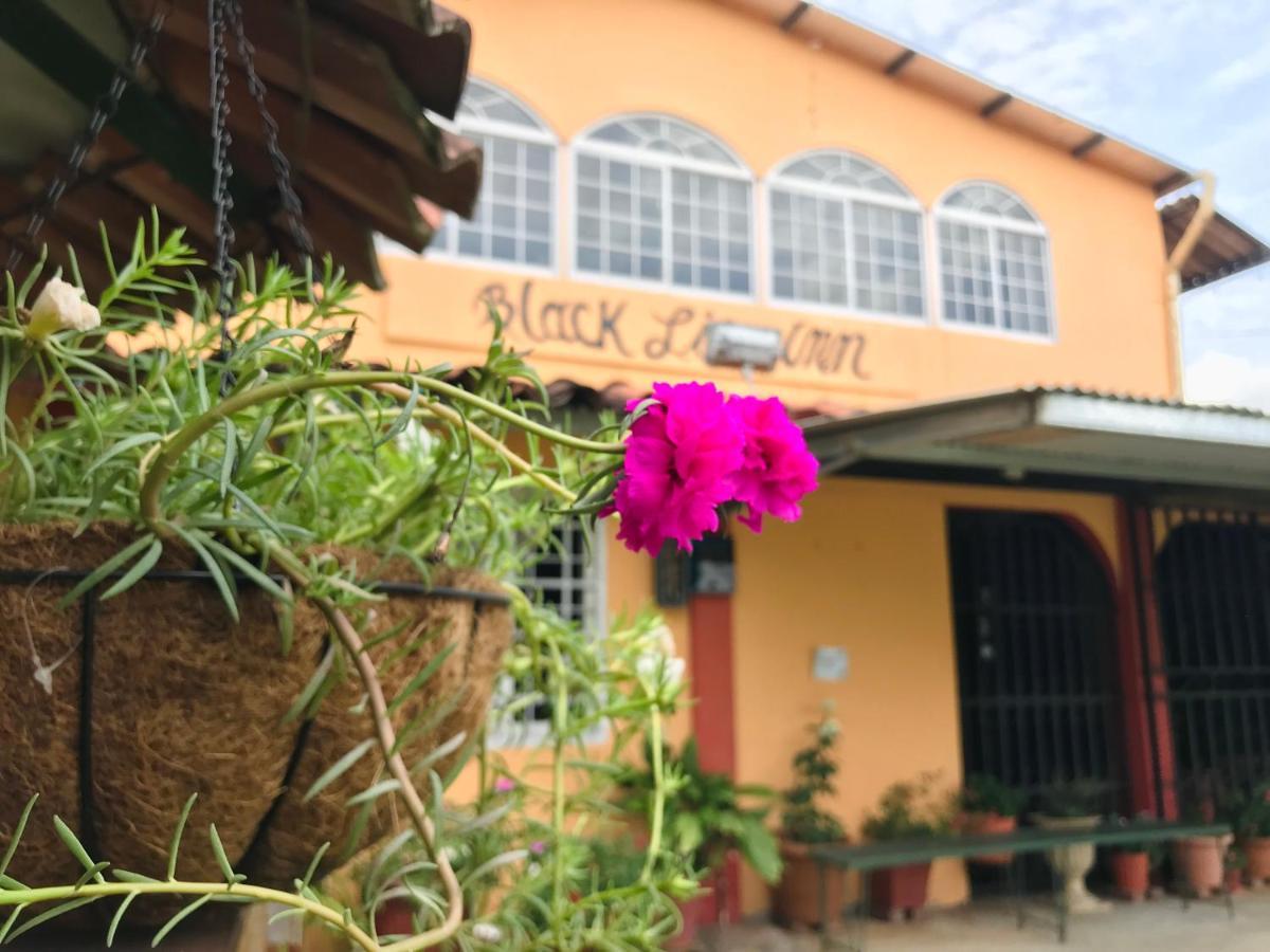 Black Lion Inn 산티아고 외부 사진